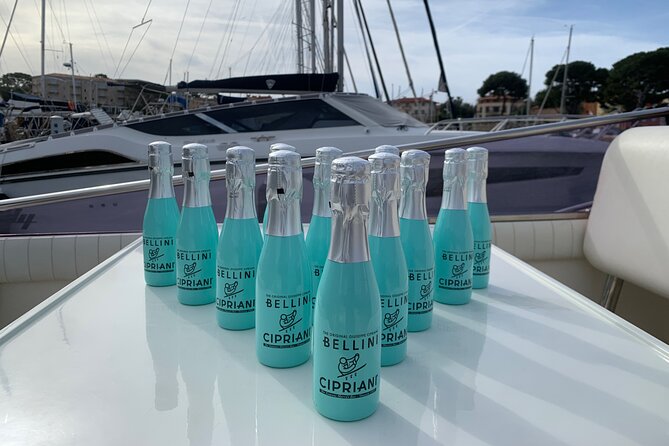 Exclusive Private Boat Tour on a Luxury Day Cruiser - Nice/Monaco - The Luxury Day Cruiser Comfort Package (Toilet, Towels, Shower, and Shade)