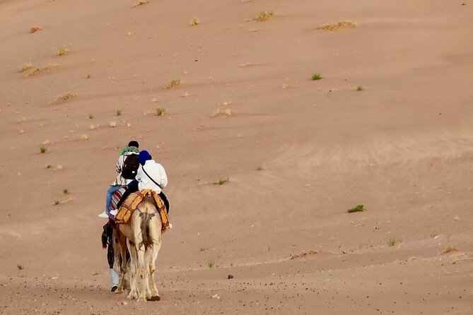 Experience Luxury in Zagora: 2-Day Desert Adventure - Why Zagora in Two Days Feels Like Morocco on Fast Forward