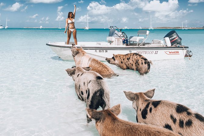 Exuma Elite Escape: Luxury Fly-In Pig Beach Adventure - 7 Stops - Key Things I’d Pay Attention To