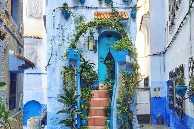 FES TO Chefchaouen Day Trip- luxury Private Tour - Chefchaouen medina time: the blue city, plus practical stops that help you orient