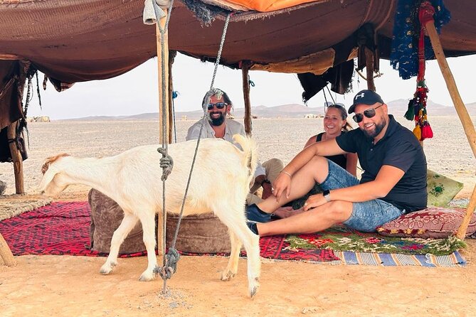 Fes to Fes Private Desert tour 1-night 2-Day Tour luxury camps - Fes to Ifrane: Middle Atlas Comfort With City-Stop Variety