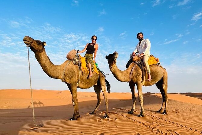 Fes to Fes Private Desert tour 1-night 2-Day Tour luxury camps - The Return to Fez: Rissani and Ziz Country Stops