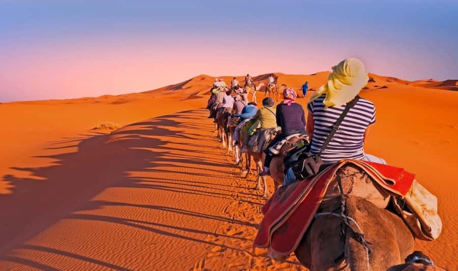 Fez: 2 Day-1 Night Luxury Sahara Desert Trip to Fez/Marakech - Ifrane and Azrou: cool mountain air, then the Forest of Monkeys