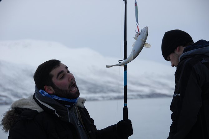 Fishing Trip with Luxury Catamaran in Tromso - Who Should Book This Tromsø Fishing Trip
