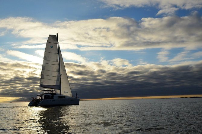 Fishing Trip with Luxury Catamaran in Tromso - The Cruise Segment: Panoramic Saloon, Cold Wind, and Great Timing