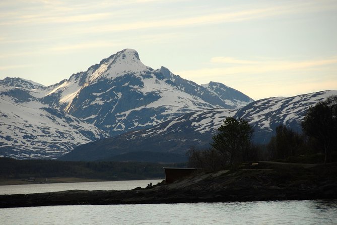Fjord Cruise with Luxury Catamaran in Tromso - Meals That Make It Feel Like Part of the Day