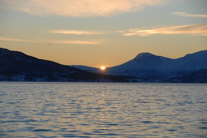Fjord Cruise with Luxury Catamaran in Tromso - Price and Value for a 3-Hour Arctic Experience