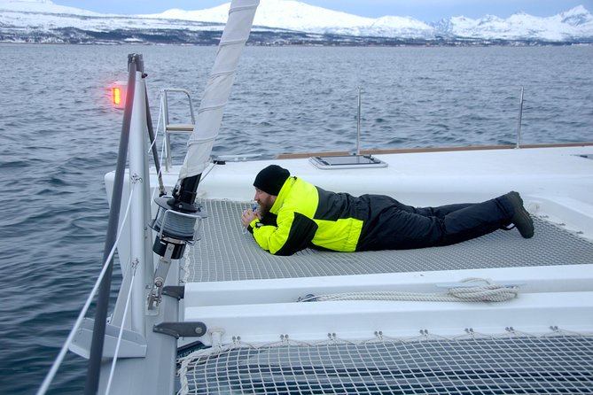 Fjord Cruise with Luxury Catamaran in Tromso - Should You Book This Tromsø Fjord Cruise?