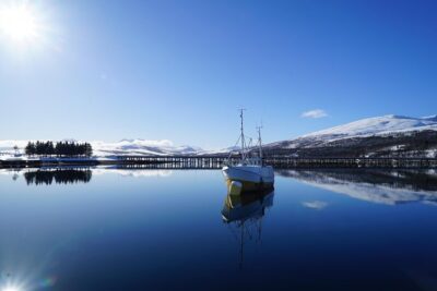 Fjordcruise in a Luxury Yacht Arctic Queen - Meeting at Fredrik Langes gate 2 and planning your 2:00 pm start