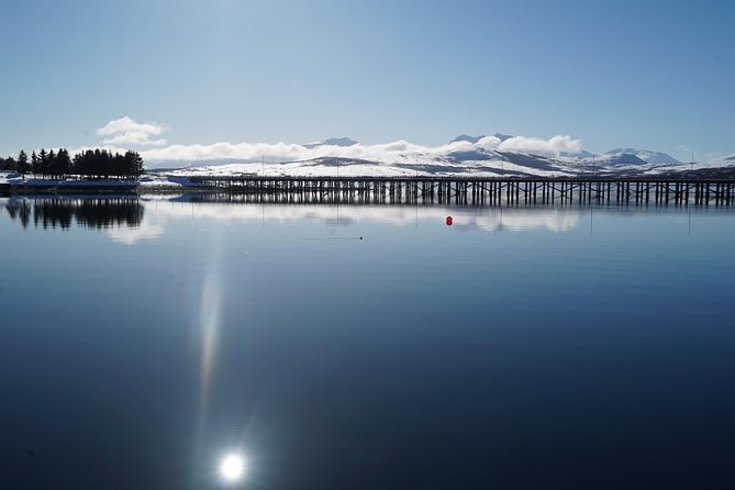 Fjordcruise in a Luxury Yacht Arctic Queen - Food and the fish soup moment that people remember