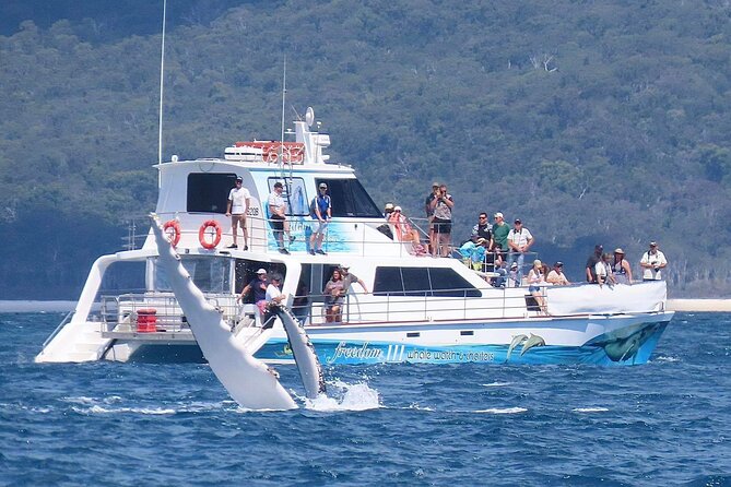 Freedom 3/4 Day Hervey Bay Premium Whale Watching Cruise - Platypus Bay: The Whale Magnet Outside Hervey Bay