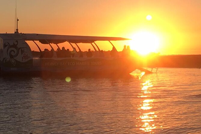 Freedom 3/4 Day Hervey Bay Premium Whale Watching Cruise - Morning Tea and the Cruise Out: Great Sandy Marine Park at Your Pace