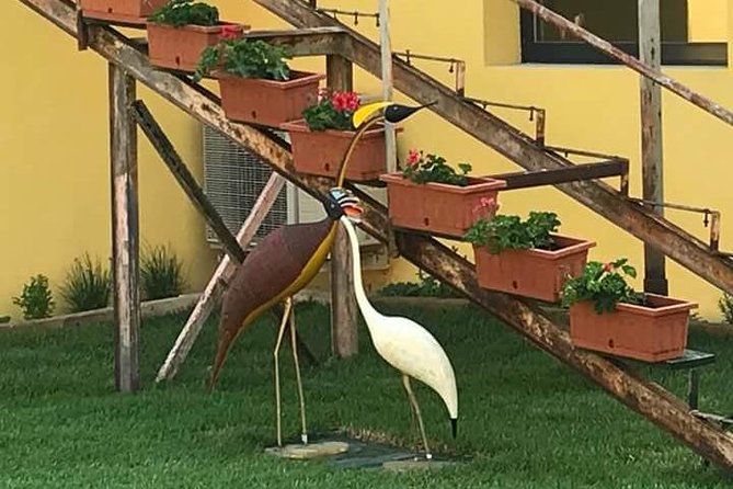 FriendInVenice Murano Burano Torcello Private Tour By Luxury Boat - Price and value: what $1,392.28 per group really buys you