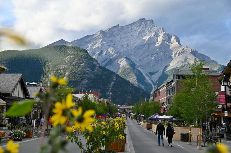 From Banff: Banff Wildlife & Scenic Highlights Premium Tour - Why dusk-and-a-van works so well in Banff