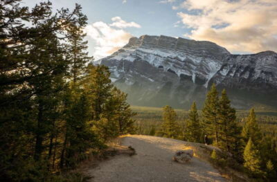 From Banff: Banff Wildlife & Scenic Highlights Premium Tour - Getting picked up in Banff without stress
