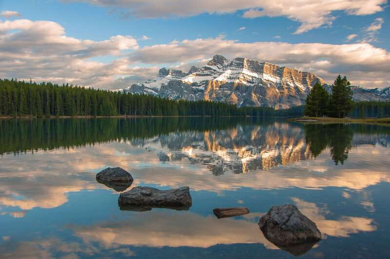 From Banff: Banff Wildlife & Scenic Highlights Premium Tour - Surprise Corner, Bow Falls, and the viewpoints that keep you watching