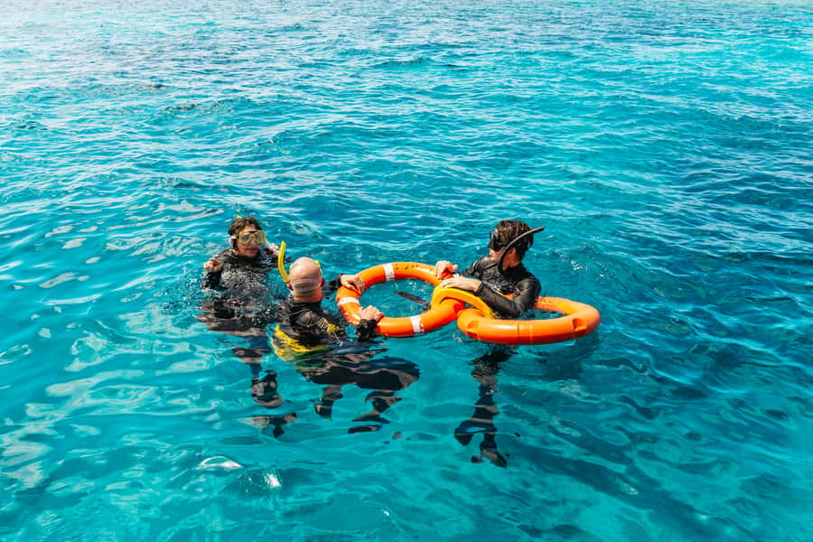 From Cairns: Great Barrier Reef Cruise by Premium Catamaran - Key things I’d circle before you book