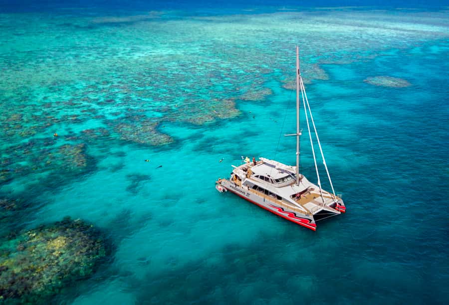 From Cairns: Great Barrier Reef Cruise by Premium Catamaran - Meeting in Cairns: plan your morning around the Reef Fleet Terminal