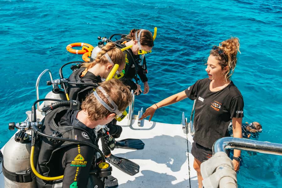 From Cairns: Great Barrier Reef Cruise by Premium Catamaran - Lunch onboard: a chef-prepared buffet you won’t rush through