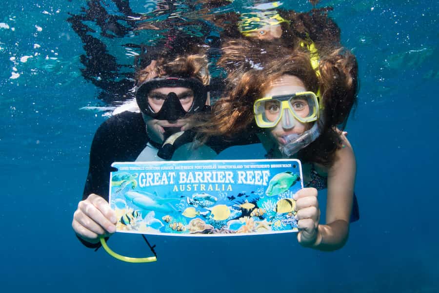 From Cairns: Great Barrier Reef Cruise by Premium Catamaran - The scuba option: what’s included, what’s required, and who should be cautious