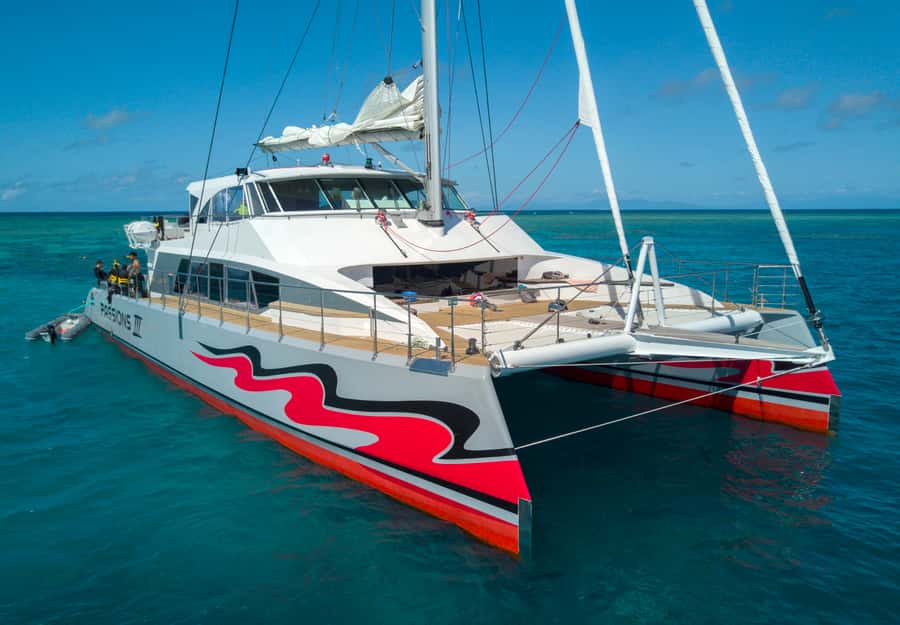 From Cairns: Great Barrier Reef Cruise by Premium Catamaran - Riding out on a high-performance catamaran (and actually enjoying the trip)