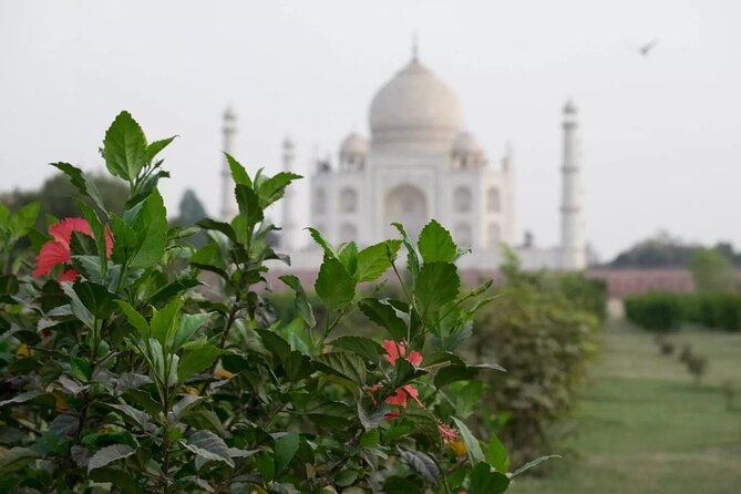 From Delhi : Luxury Taj Mahal Tour By Luxury Car- All Inclusive - Why this Taj Mahal tour feels like a real upgrade