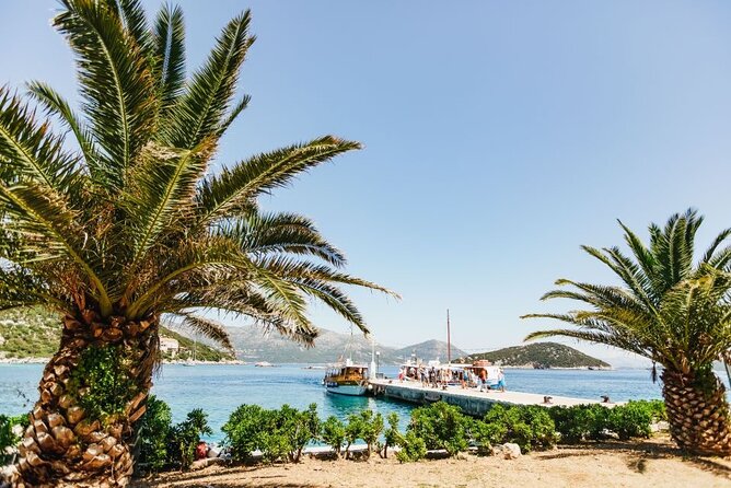 From Dubrovnik: Premium Three Island Cruise with lunch and drinks - Šipan Island: one hour of olive groves, vineyards, and sea views
