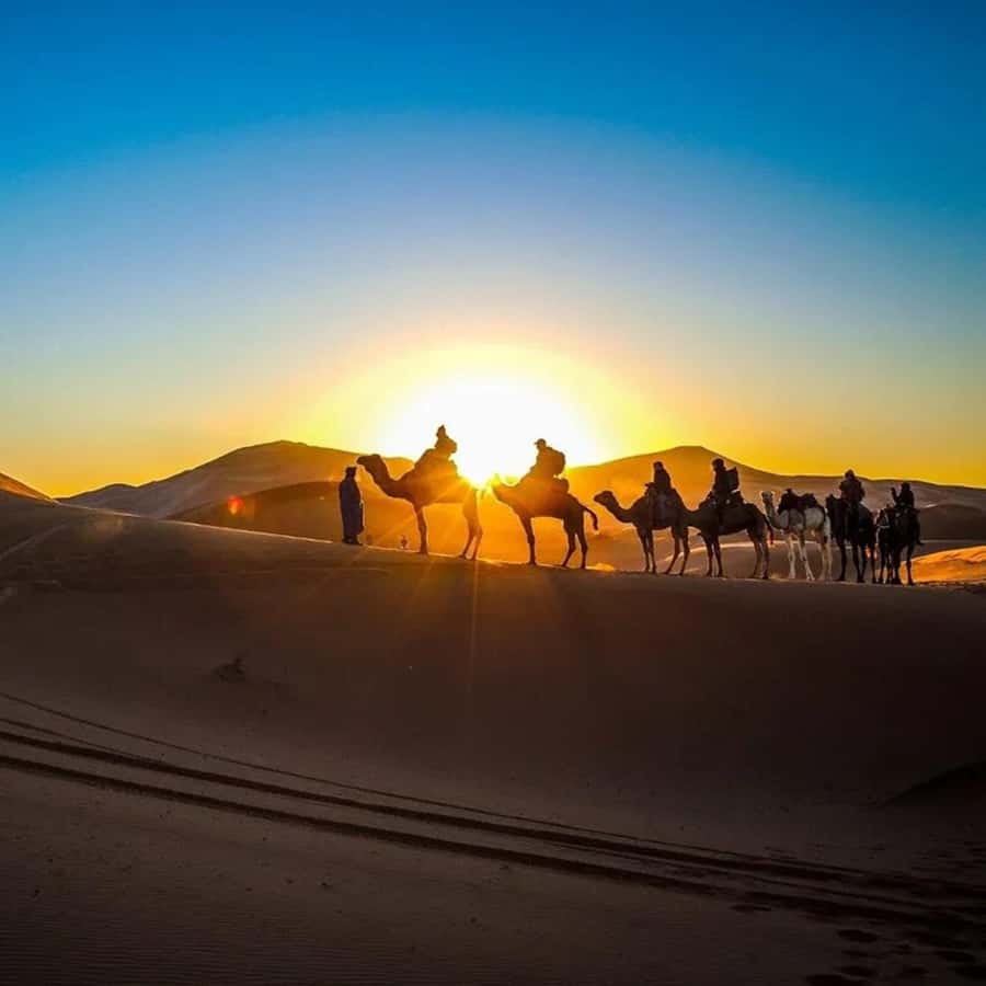 From Fes: 2-Day Luxury Desert Tour to Marrakech & Back Fez - From Fez to the Sahara: what the long drive is really doing