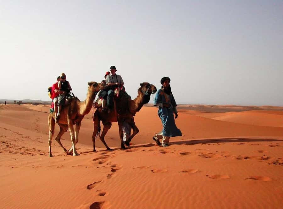 From Fes: 2-Day Luxury Desert Tour to Marrakech & Back Fez - Midelt, lunch, and the Ziz Valley viewpoints: where breaks become part of the trip