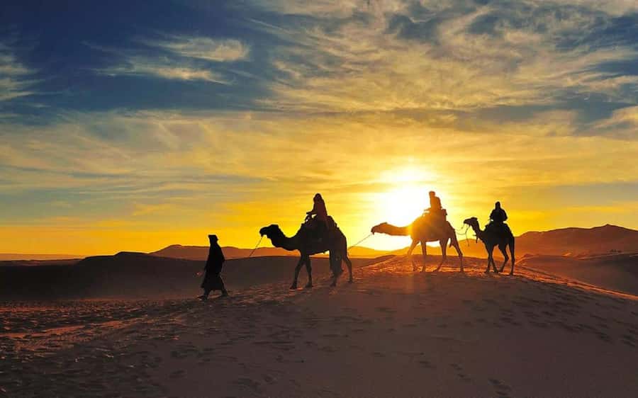 From Fes: 2-Day Luxury Desert Tour to Marrakech & Back Fez - Merzouga and Erg Chebbi: how the camel trek turns the day into a memory