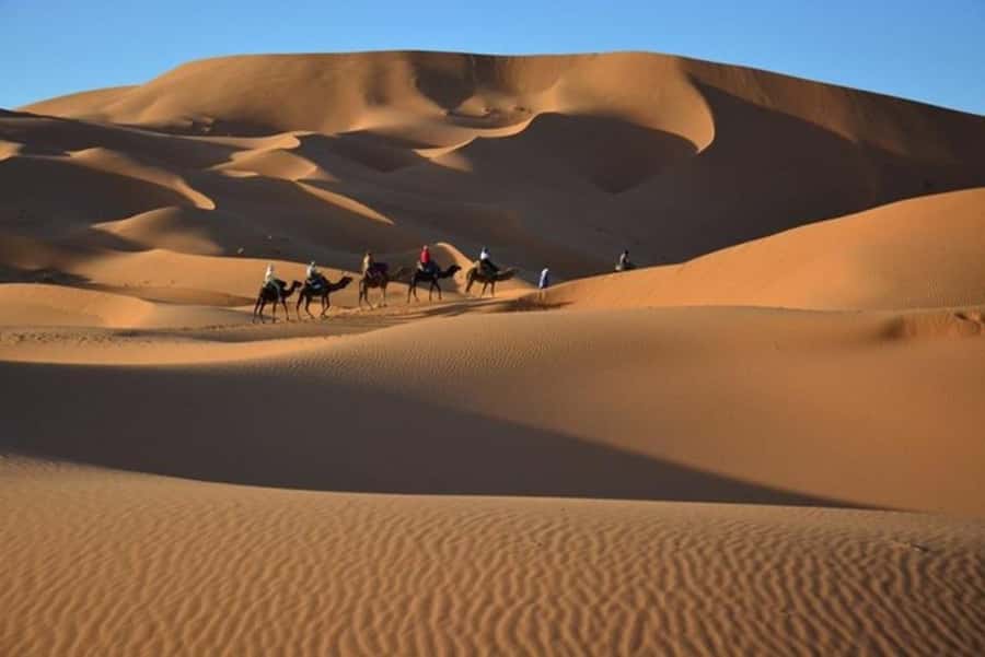 From Fes: 2-Day Luxury Desert Tour to Marrakech & Back Fez - Sunset dunes plus “Berber camp luxury”: what you’re paying for