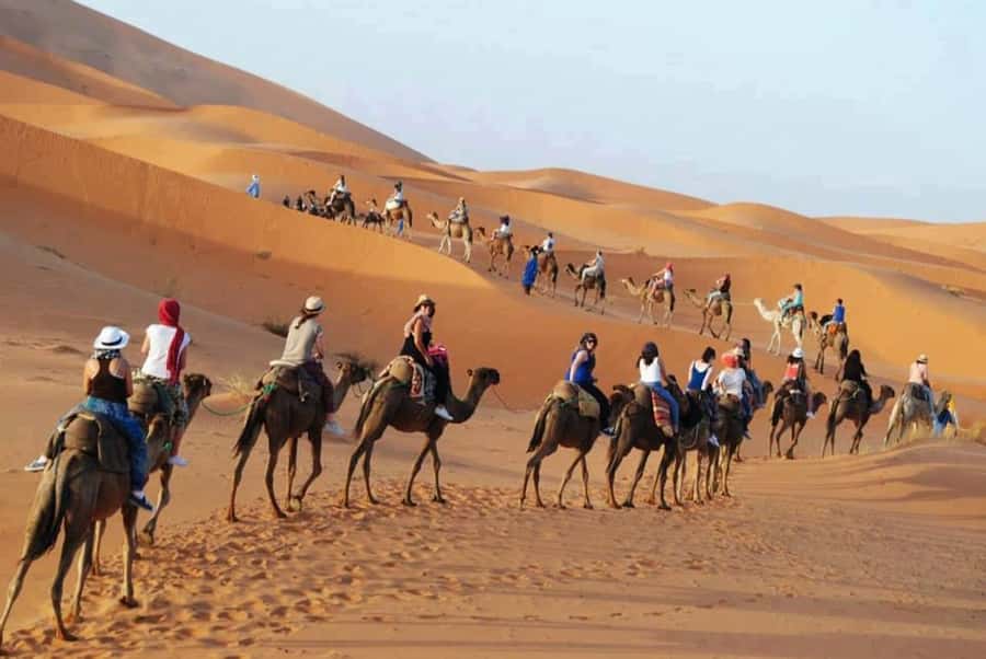 From Fes: 2-Day Luxury Desert Tour to Marrakech & Back Fez - Day 2: breakfast on the dunes, then the return toward Fez (or Marrakech)