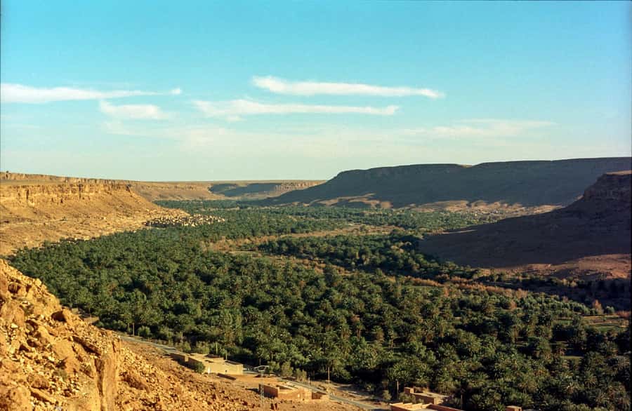 From Fes: 2-Day Luxury Desert Tour to Marrakech & Back Fez - Ifrane and the cedar forests: a cool start before the heat