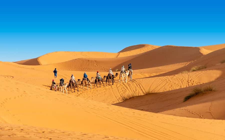 From Fes: 2-Day Merzouga Desert Trip(Luxury Tent & Dinner) - Fez to Merzouga: the road trip that actually matters