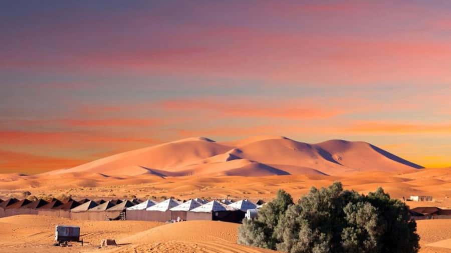 From Fes: 2-Day Merzouga Desert Trip w/Luxury Tent & Dinner - Day One from Fez: Atlas Mountains first, Sahara later
