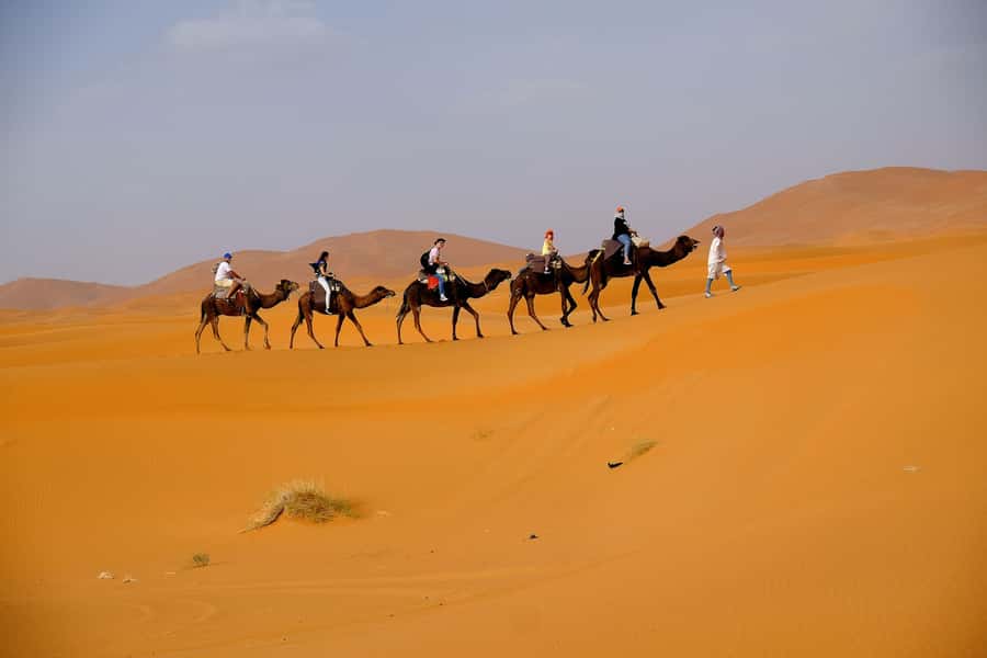 From Fes: 2-Day Merzouga Desert Trip w/Luxury Tent & Dinner - Luxury camp night: private bathroom, campfire, and live Berber music