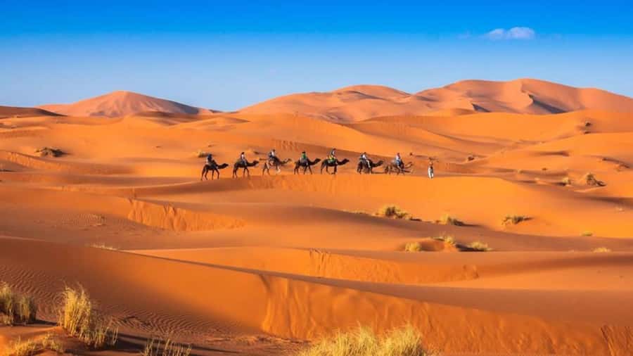 From Fes: 2-Day Merzouga Desert Trip w/Luxury Tent & Dinner - Return to Fez or Marrakech: long roads, but stops keep it human