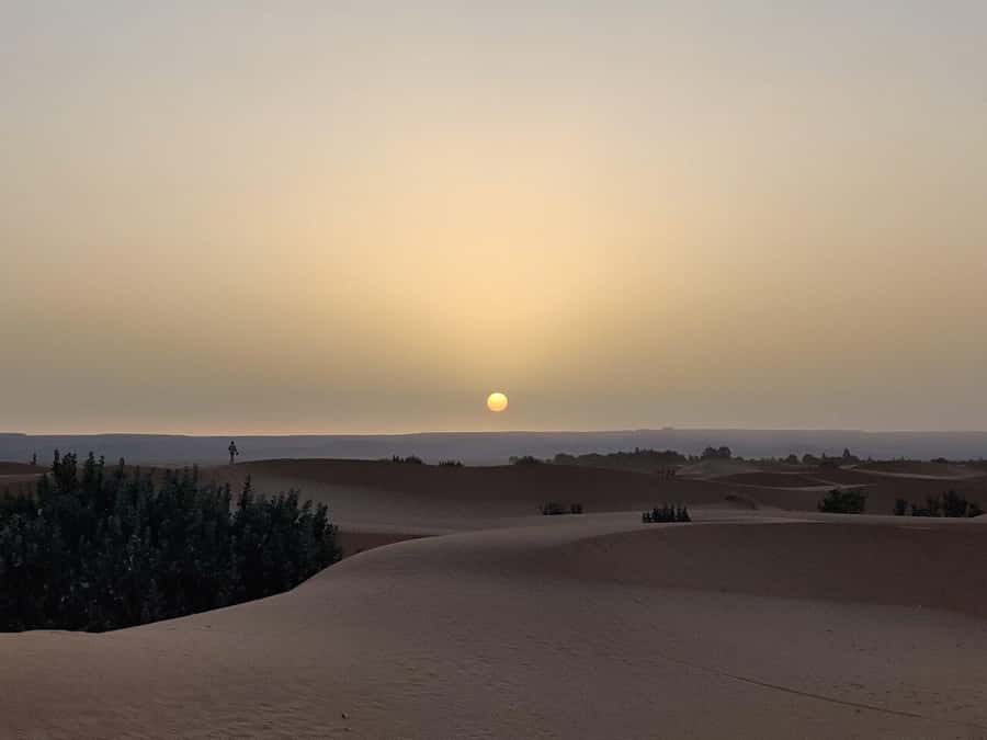 From Fes: 3-Day Luxury Desert Tour to Marrakech via Merzouga - Guide Quality and Safe, Smooth Driving: Why Names Matter