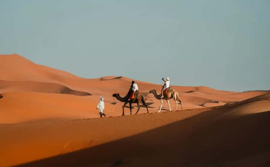 From Fes: 3-Day Luxury Desert Tour to Marrakech via Merzouga - Should you book this Fes to Marrakech desert tour?