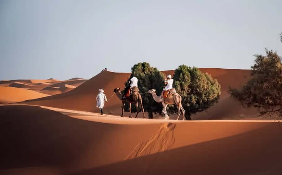 From Fes: 3-Day Luxury Desert Tour to Marrakech via Merzouga - Desert Camp Night: Choosing Standard vs Luxury Tents in Merzouga