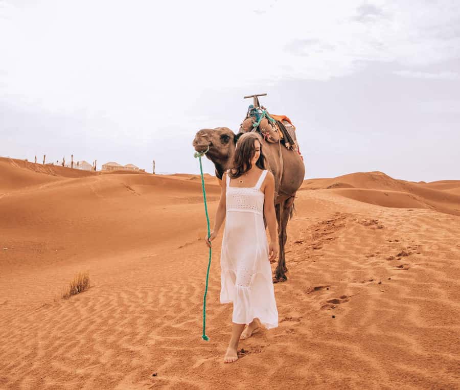 From Fes To Marrakech: 2-Days with Luxury Camp, Desert Tour - Erg Chebbi Camel Rides: Sunset Is Magic, Sunrise Is the Real Win