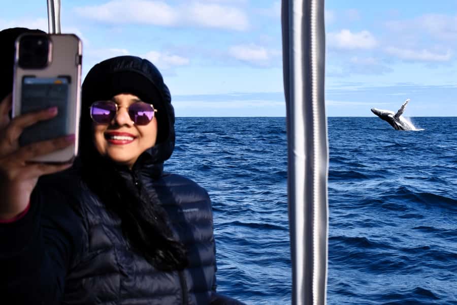 From Fremantle: 2-Hour Luxury Whale-Watching Cruise - Key highlights you’ll feel on the day