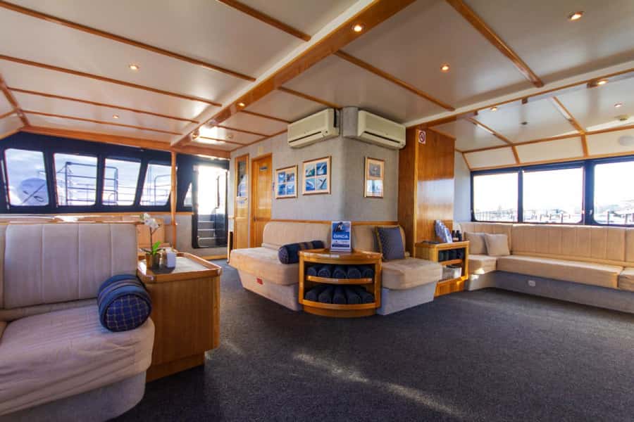From Fremantle: 2-Hour Luxury Whale-Watching Cruise - Who should book this Fremantle humpback cruise