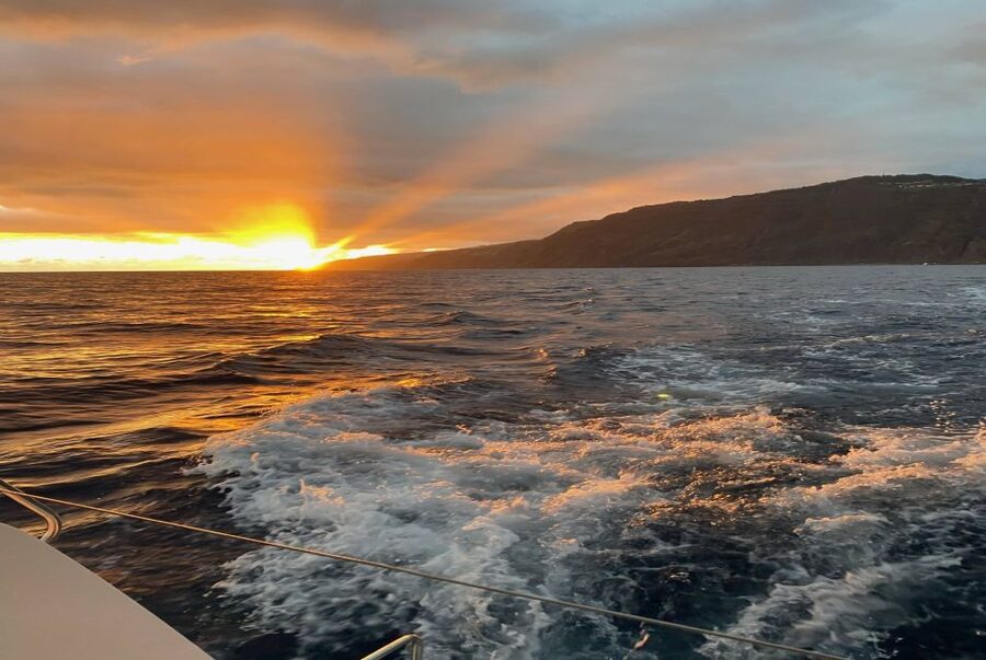 From Funchal: Cabo Girao Sunset Cruise on Luxury Catamaran - Cruising Madeira’s Southern Coast: Views Plus Wildlife Scanning