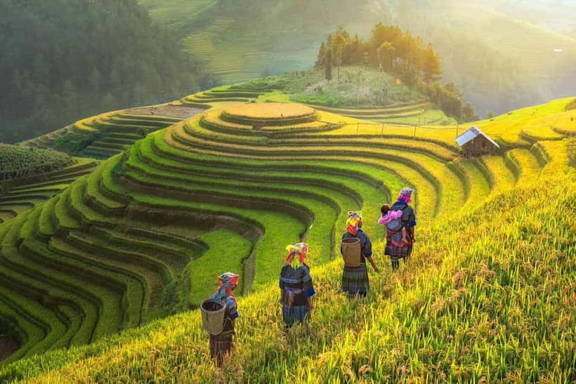 From Hanoi: 2-Day Luxury Sapa Trekking Tour with Homestay - Key highlights you’ll feel quickly