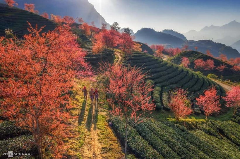 From Hanoi: 2-Day Luxury Sapa Trekking Tour with Homestay - Ta Van homestay: private room comfort plus real culture time