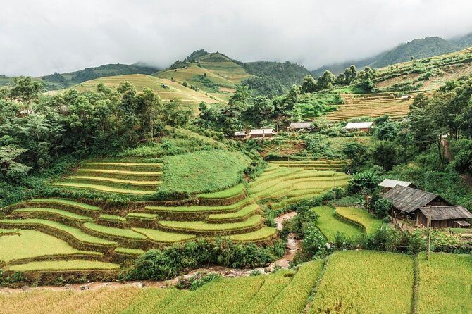From Hanoi: 2-Day Overnight Sapa Tour by Luxury Van Limousine - Key things I’d zero in on before you go