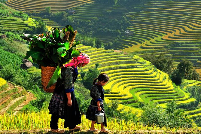 From Hanoi: 2-Day Overnight Sapa Tour by Luxury Van Limousine - The Luxury Van from Hanoi: Comfort vs Reality on a 250 km Road