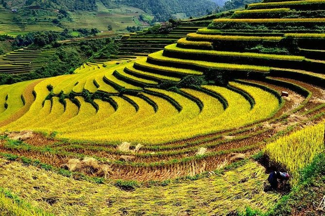 From Hanoi: 2-Day Overnight Sapa Tour by Luxury Van Limousine - Day 1 in Sapa: Cát Cát vs Ý Linh Hồ–Lao Chải–Tả Van