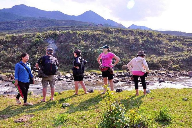 From Hanoi: 2-Day Overnight Sapa Tour by Luxury Van Limousine - Meals Included: Helpful on Schedule, Variable in Taste